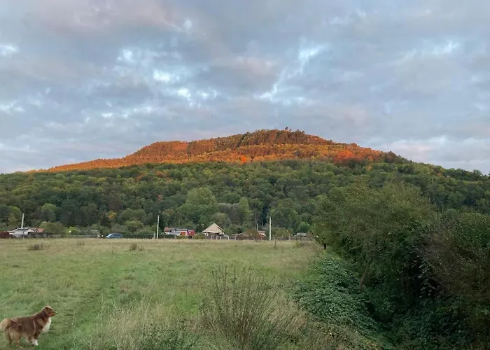 Paradies アパート